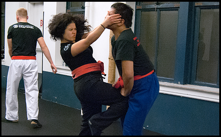 Krav Maga Self Defense Classes For Men Women Children In The New 